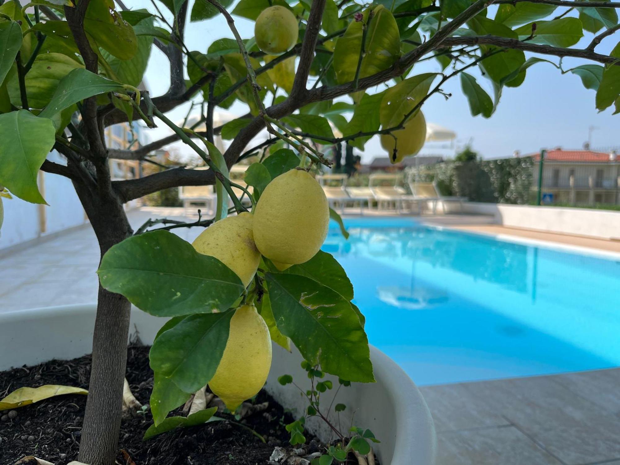 Hotel Renata Lazise Zewnętrze zdjęcie